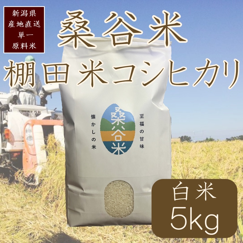 令和7年産／桑谷ファーム／桑谷米（棚田米コシヒカリ）白米・5kg　 精米 こしひかり 新潟県産 米 お取り寄せ ブランド米