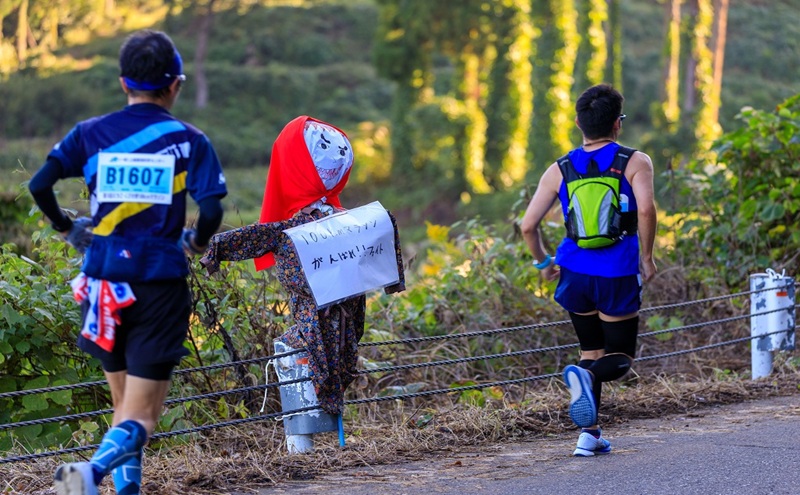 第16回えちご・くびき野100kmマラソン 【100kmの部】 出走権 エントリー ウルトラ マラソン チケット スポーツ 新潟県 上越市