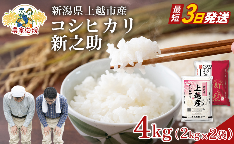 【最短3日配送】農家応援! コシヒカリ・新之助 各 2kg 4kg セット 緊急価格改定 新潟県 上越市産 令和7年産 お米 精米 米 ご飯 送料無料