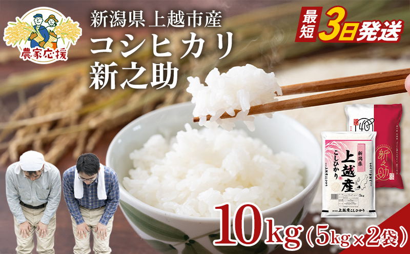 【最短3日配送】農家応援! コシヒカリ・新之助 各 5kg 10kg セット 緊急価格改定 新潟県 上越市産 令和7年産 お米 精米 米 ご飯 送料無料