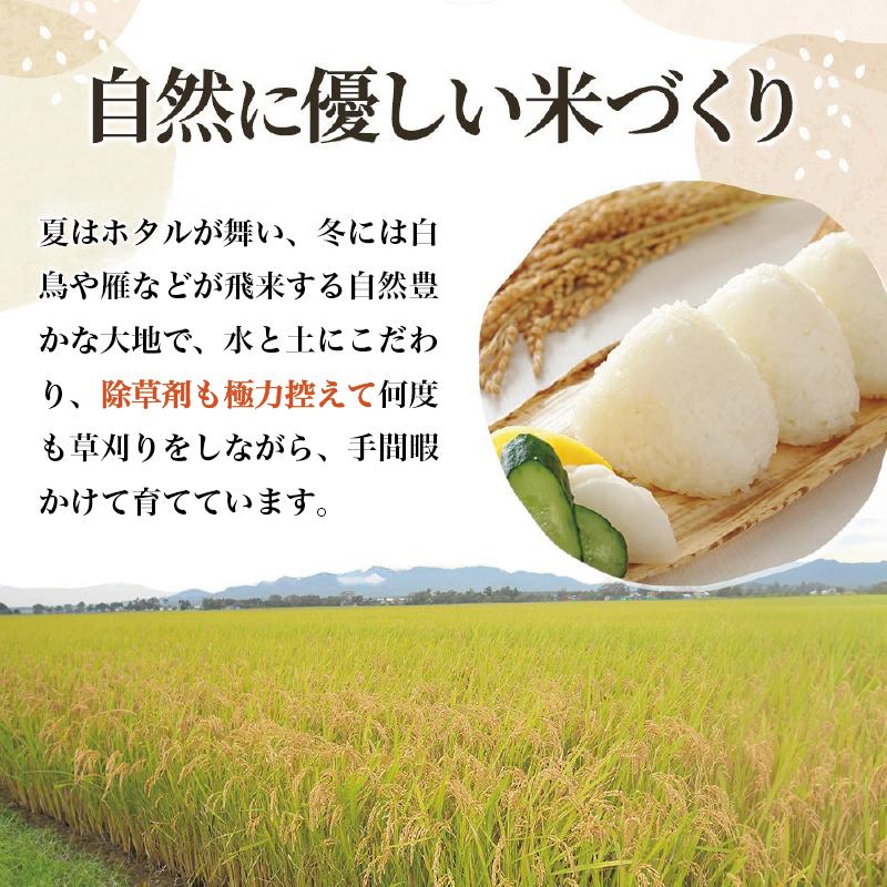 【8年4月配送】令和7年産 新潟上越産コシヒカリ 5kg｜コシヒカリ 米 こしひかり こめ おすすめ 新潟 新潟県産 にいがた 上越 上越産