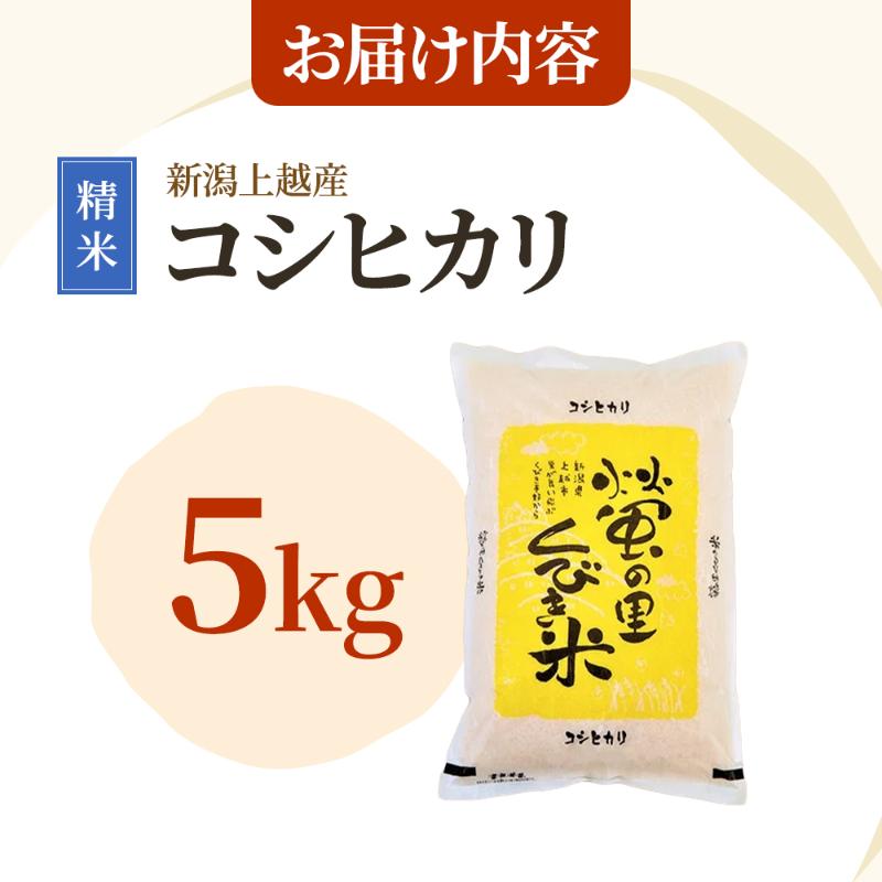 【8年4月配送】令和7年産 新潟上越産コシヒカリ 5kg｜コシヒカリ 米 こしひかり こめ おすすめ 新潟 新潟県産 にいがた 上越 上越産