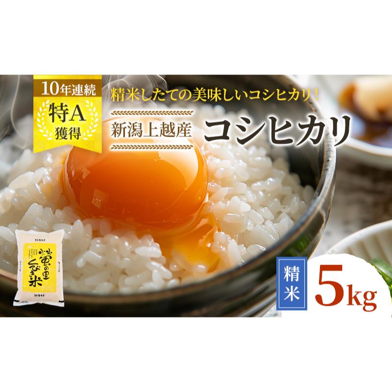 【8年4月配送】令和7年産 新潟上越産コシヒカリ 5kg｜コシヒカリ 米 こしひかり こめ おすすめ 新潟 新潟県産 にいがた 上越 上越産