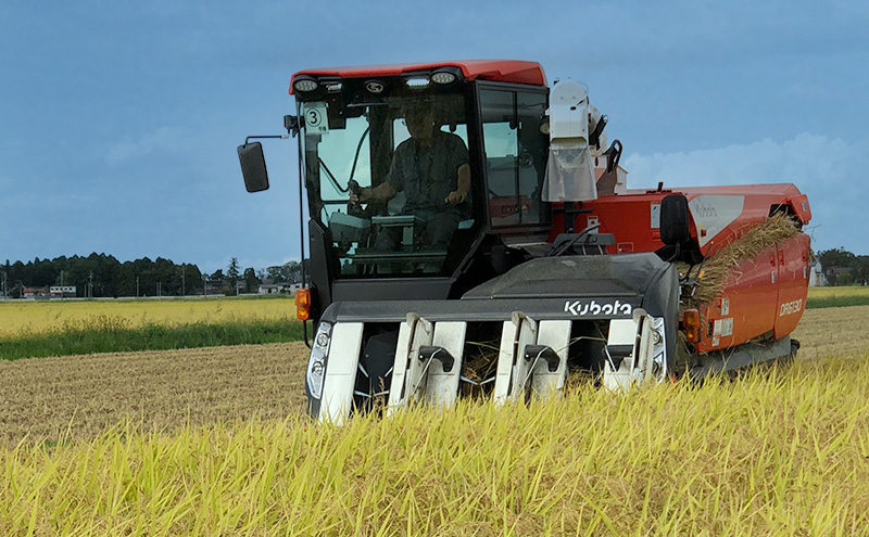 先行予約 令和8年産 新潟県 上越市産 コシヒカリ 10kg（5kg×2袋） 窒素封入 上越市 坪井農場 白米 精米 送料無料