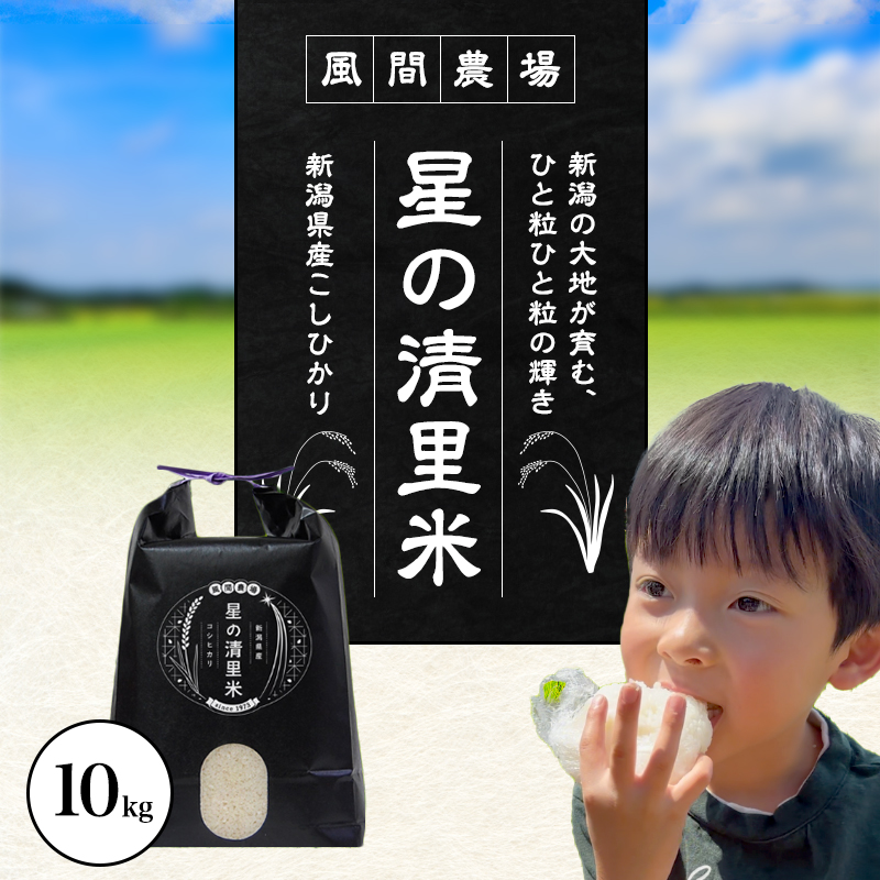 先行予約 令和8年 新潟県上越市産 従来 コシヒカリ 精米済 10kg 10キロこしひかり お米 米 精米 送料無料