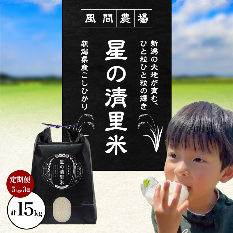 先行予約【定期便 | 5kg×3回 |計15kg】 令和8年 新潟県上越市産 従来コシヒカリ 精米済5kg×3回 こしひかり お米 米 精米 送料無料