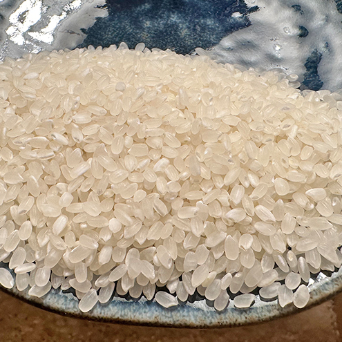 先行予約【定期便 | 5kg×3回 |計15kg】 令和8年 新潟県上越市産 従来コシヒカリ 精米済5kg×3回 こしひかり お米 米 精米 送料無料