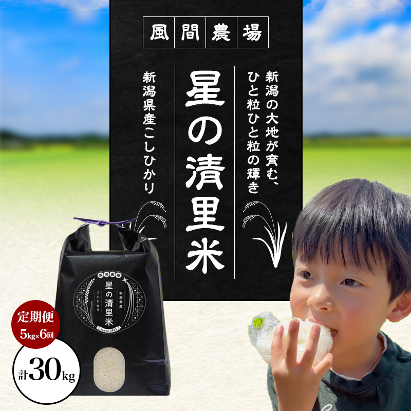 先行予約【定期便 | 5kg×6回 |計30kg】 令和8年 新潟県上越市産 従来コシヒカリ 精米済5kg×6回 こしひかり お米 米 精米 送料無料