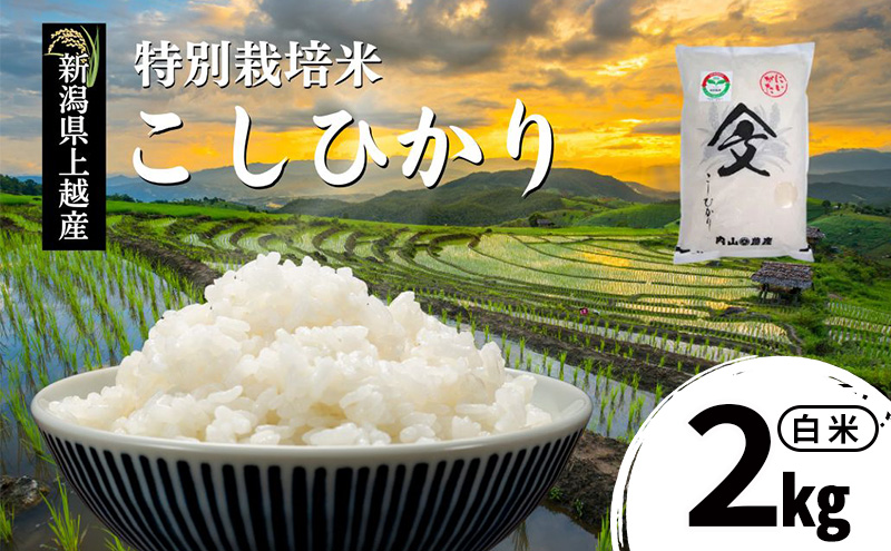令和7年産 新潟県上越産「 特別栽培米 コシヒカリ 」 白米 2kg 内山農産 こしひかり お米 こめ おすすめ  新潟県産 にいがた 上越