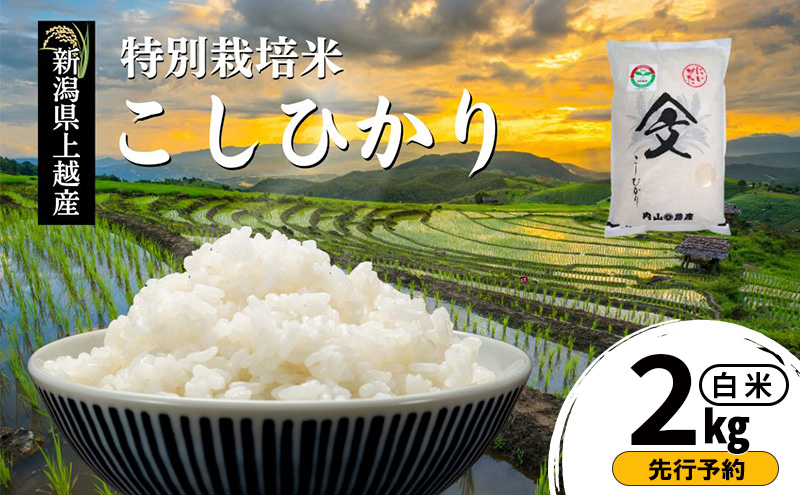 先行予約 令和8年産 新潟県上越産「 特別栽培米 コシヒカリ 」 白米 2kg 内山農産 こしひかり お米 こめ おすすめ  新潟県産 にいがた 上越