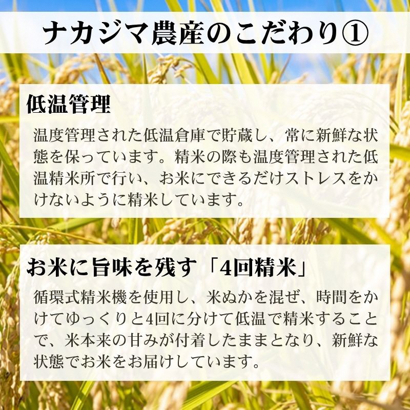 先行予約 令和8年産 新潟県産 コシヒカリ 5kg 謙信秘蔵米 真空 窒素挿入 冬眠パック 精白米 米 お米 上越 上越産 上越米 ふるさと納税 上杉謙信 人気