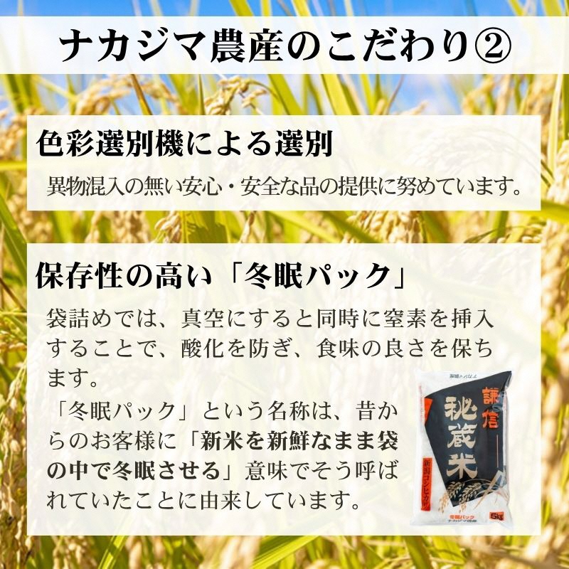 先行予約 令和8年産 新潟県産 コシヒカリ 5kg 謙信秘蔵米 真空 窒素挿入 冬眠パック 精白米 米 お米 上越 上越産 上越米 ふるさと納税 上杉謙信 人気