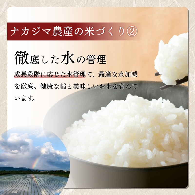 先行予約 令和8年産 新潟県産 コシヒカリ 5kg 謙信秘蔵米 真空 窒素挿入 冬眠パック 精白米 米 お米 上越 上越産 上越米 ふるさと納税 上杉謙信 人気