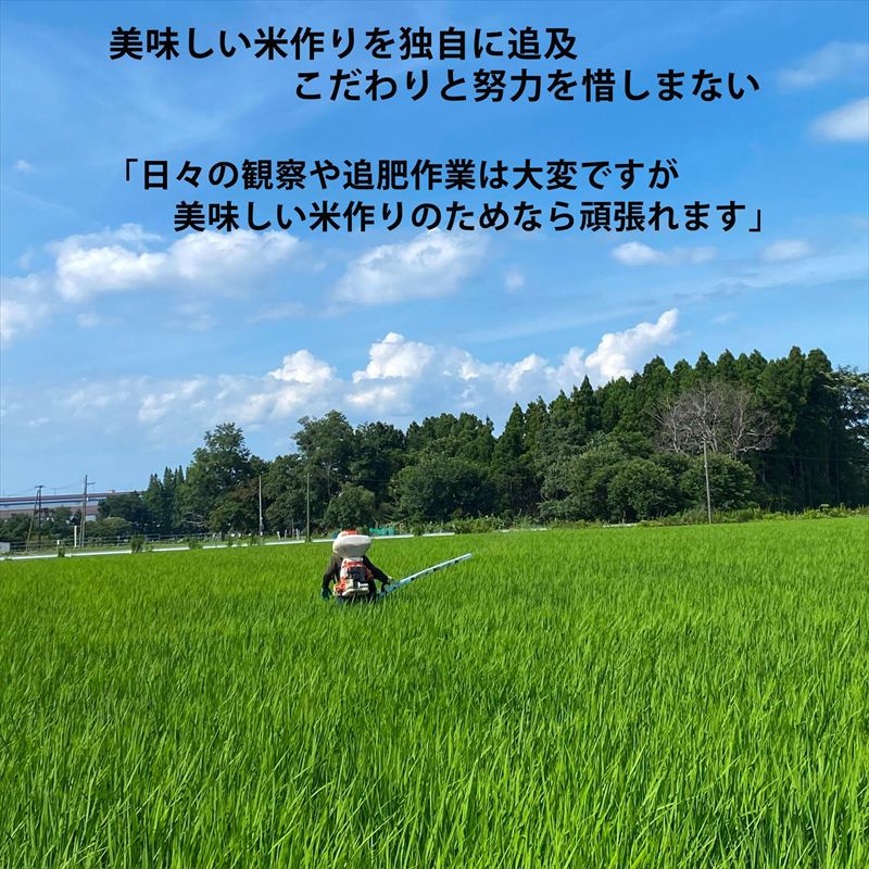 令和8年産 先行予約 上越市産 コシヒカリ 5kg 5キロ 新米 精米 新潟県 上越市 板倉区 コメランド こしひかり 限定 おすすめ 米 コメ