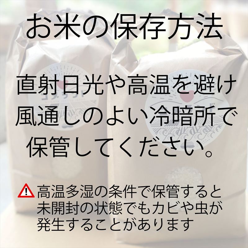 令和8年産 先行予約 上越市産 5kg 5キロ 精米 新潟県 上越市 板倉区 コメランド しんのすけ 限定 おすすめ 米 コメ