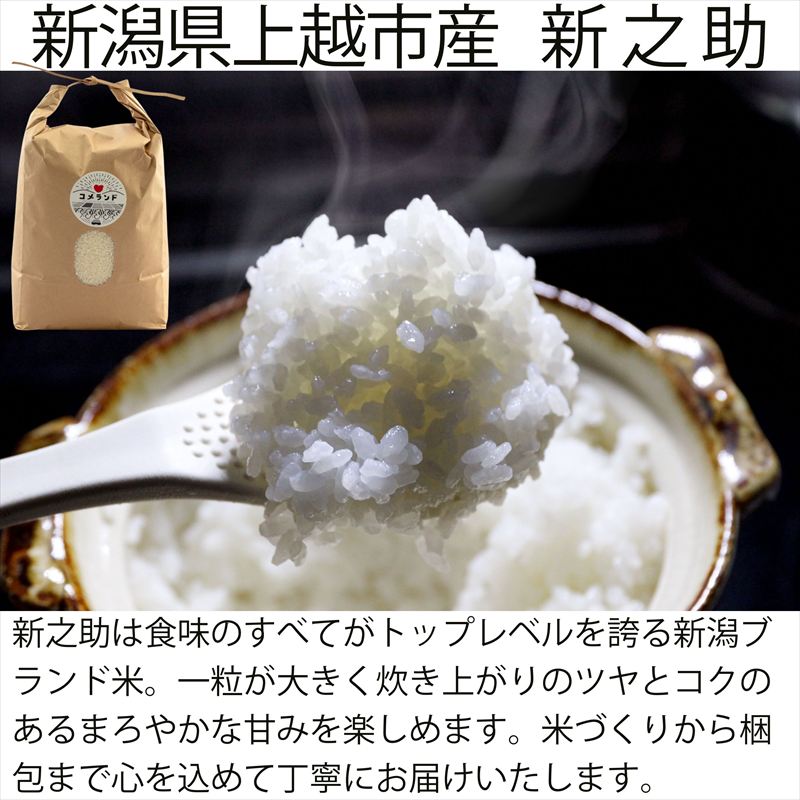 令和8年産 先行予約 上越市産 5kg 5キロ 精米 新潟県 上越市 板倉区 コメランド しんのすけ 限定 おすすめ 米 コメ