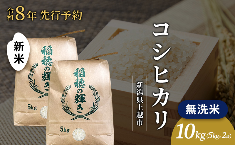 先行予約 令和8年 新米 無洗米 新潟県上越市産 コシヒカリ 10kg（5kg×2袋）  お米 コメ こしひかり 澤井商事