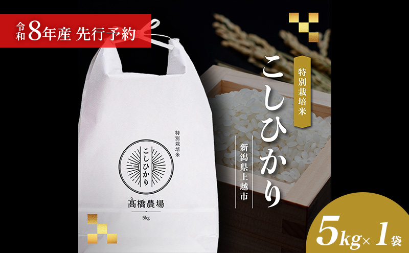 先行予約 令和8年産 新潟県上越市産 特別栽培米 コシヒカリ  5kg（5kg×1袋）ご飯 おにぎり