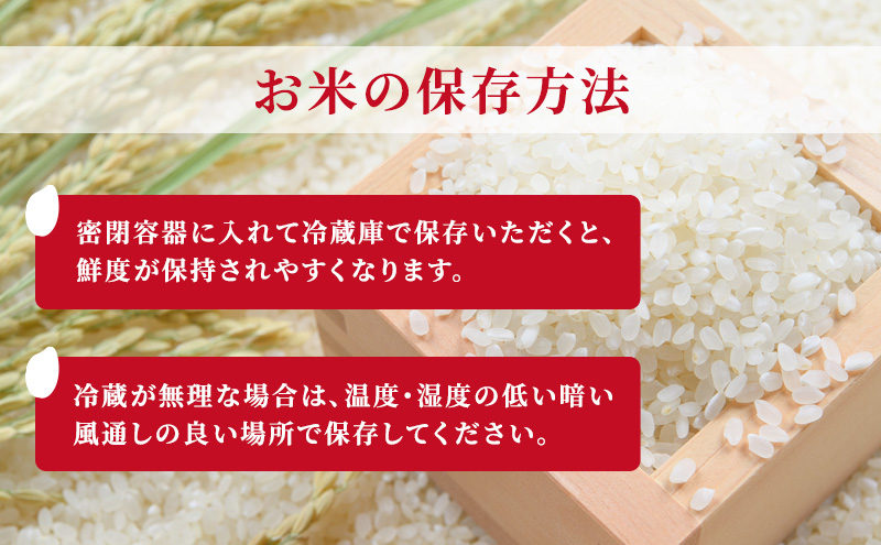 先行予約 令和8年産 新潟県上越市産 特別栽培米 コシヒカリ  5kg（5kg×1袋）ご飯 おにぎり