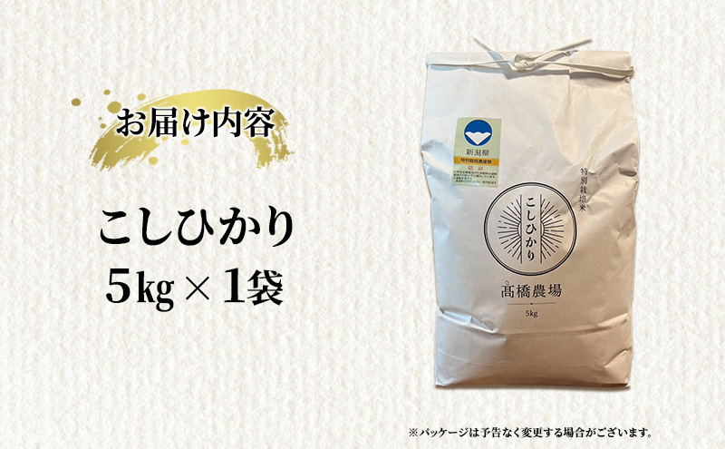 先行予約 令和8年産 新潟県上越市産 特別栽培米 コシヒカリ  5kg（5kg×1袋）ご飯 おにぎり