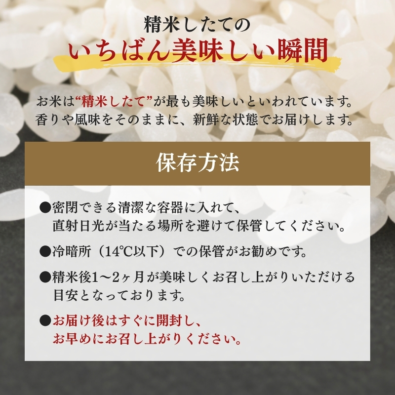 【8月下旬より配送】農家応援! コシヒカリ 2kg  3か月定期便 緊急価格改定 新潟県 上越市産 令和7年産 お米 精米 米 ご飯 送料無料 レッドホースコーポレーション
