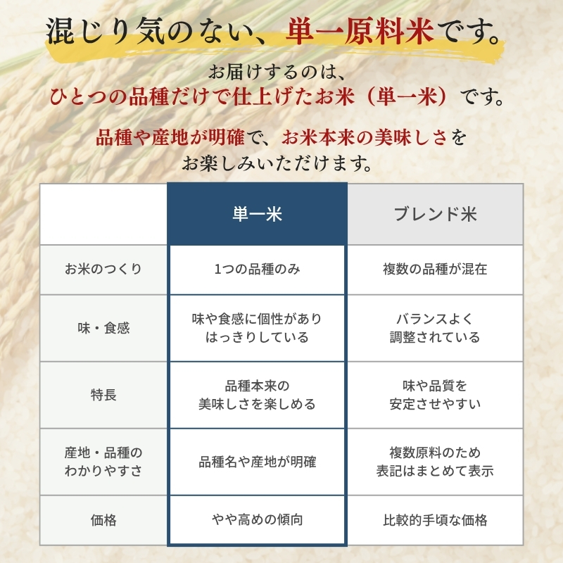 【8月中旬配送】農家応援! 新之助 2kg 緊急価格改定 新潟県 上越市産 令和7年産 お米 精米 米 ご飯 送料無料