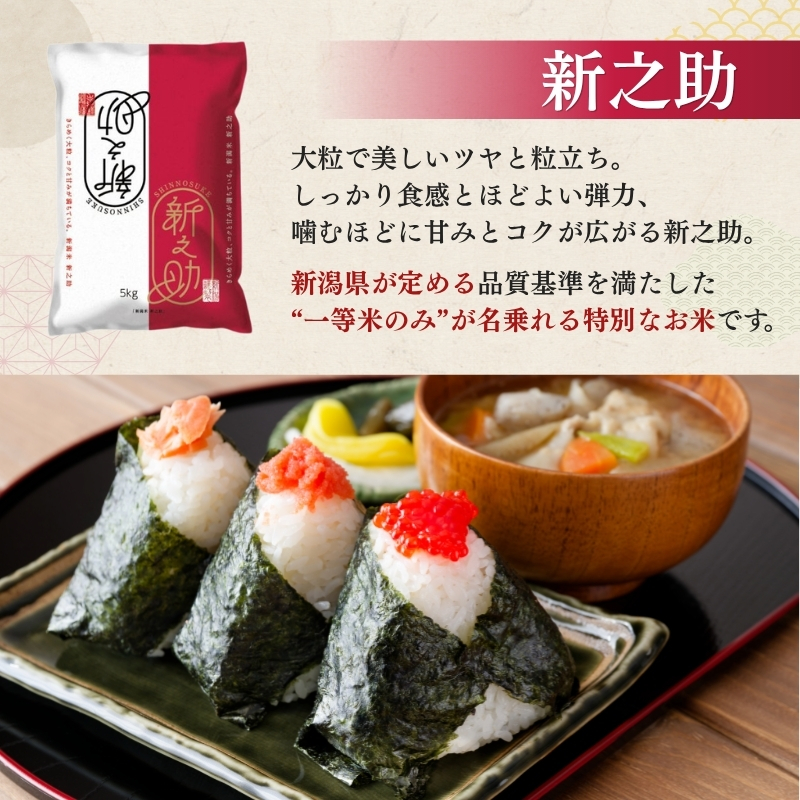 縲先怙遏ュ3譌・驟埼√題セイ螳カ蠢懈抄! 譁ー荵句勧 4kg 邱頑・萓。譬シ謾ケ螳 譁ー貎溽恁 荳願カ雁クら肇 莉、蜥7蟷エ逕」 縺顔アウ 邊セ邀ウ 邀ウ 縺秘」ッ 騾∵侭辟。譁 繝ャ繝繝峨帙シ繧ケ繧ウ繝シ繝昴Ξ繝シ繧キ繝ァ繝ウ