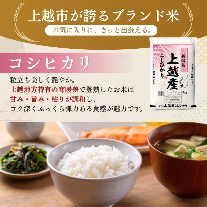 【最短3日配送】農家応援! コシヒカリ 4kg 緊急価格改定 新潟県 上越市産 令和7年産 お米 精米 米 ご飯 送料無料