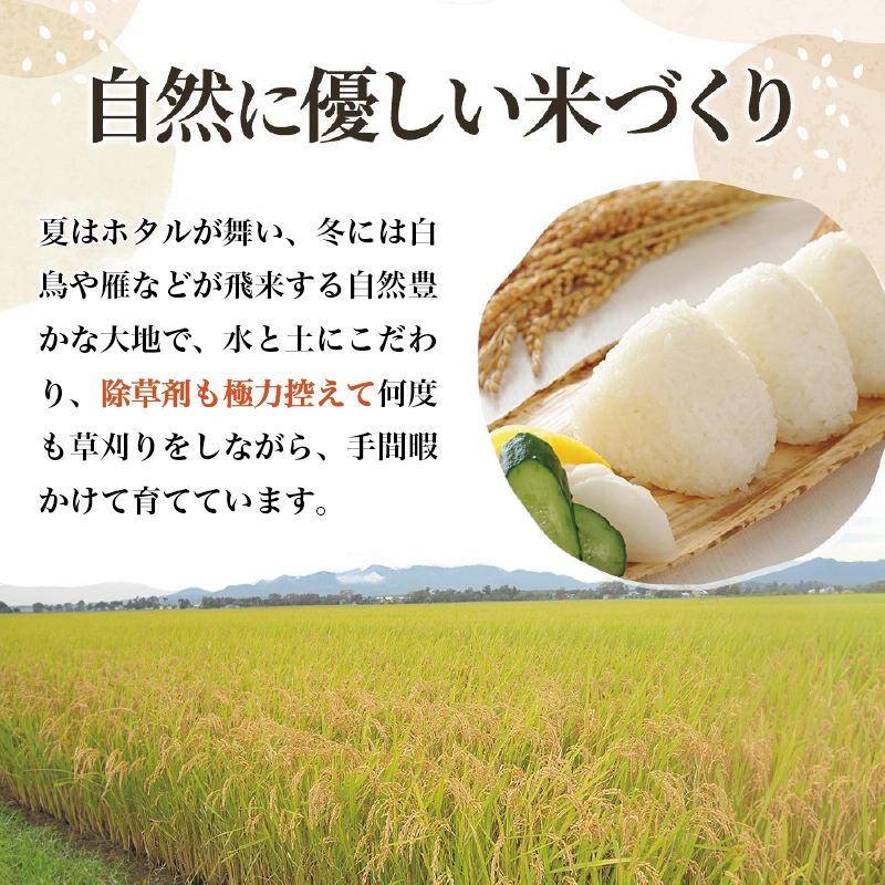 【精米したて！】 令和8年産 新潟県上越市産 コシヒカリ 定期便 5kg×12回 60kg 新米 先行予約 蛍の里