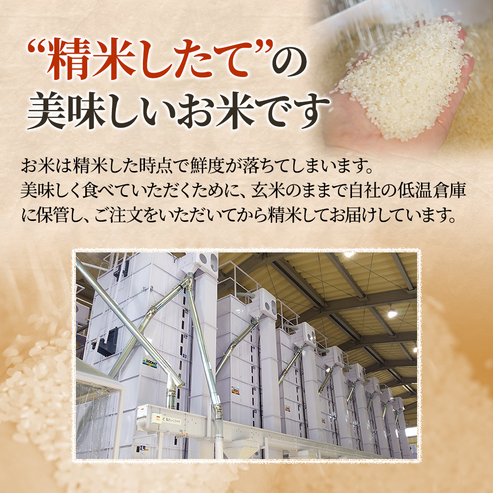 【精米したて！】 令和8年産 新潟県上越市産 コシヒカリ 定期便 5kg×12回 60kg 新米 先行予約 蛍の里