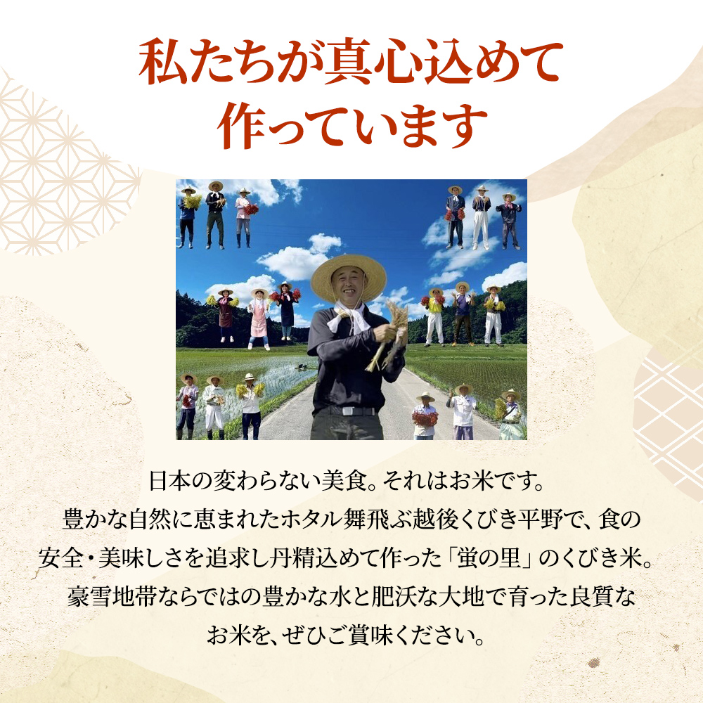 【精米したて！】 令和8年産 新潟県上越市産 コシヒカリ 定期便 5kg×12回 60kg 新米 先行予約 蛍の里