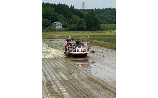 先行予約 令和8年 新潟県産コシヒカリ 【アイガモ農法】 5kg 5キロ JAS有機栽培米 上越市 三和区神田 富永農産