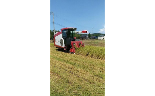 先行予約 令和8年 新潟県産コシヒカリ 【アイガモ農法】 JAS有機発芽玄米 3kg（ 1kg×3袋 ） 上越市 三和区 富永農産
