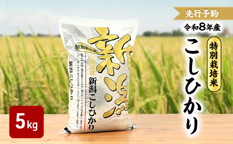 先行予約 令和8年 新潟県産コシヒカリ 特別栽培米 5kg 5キロ 上越市 三和区神田 富永農産 有機肥料 自家製たい肥