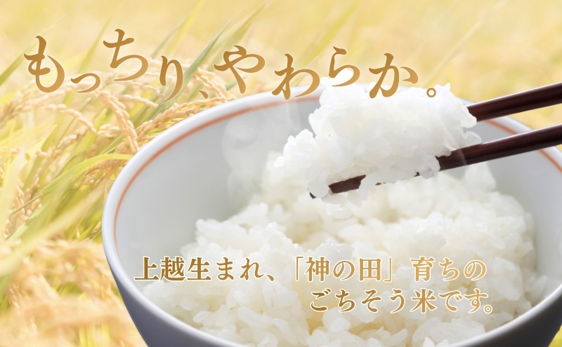 先行予約 令和8年 新潟県産コシヒカリ 特別栽培米 5kg 5キロ 上越市 三和区神田 富永農産 有機肥料 自家製たい肥