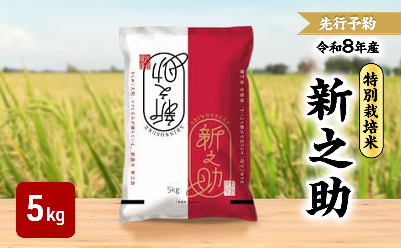 先行予約 令和8年 新潟県産新之助 特別栽培米 5kg 5キロ 上越市 三和区神田 富永農産 有機肥料 自家製たい肥