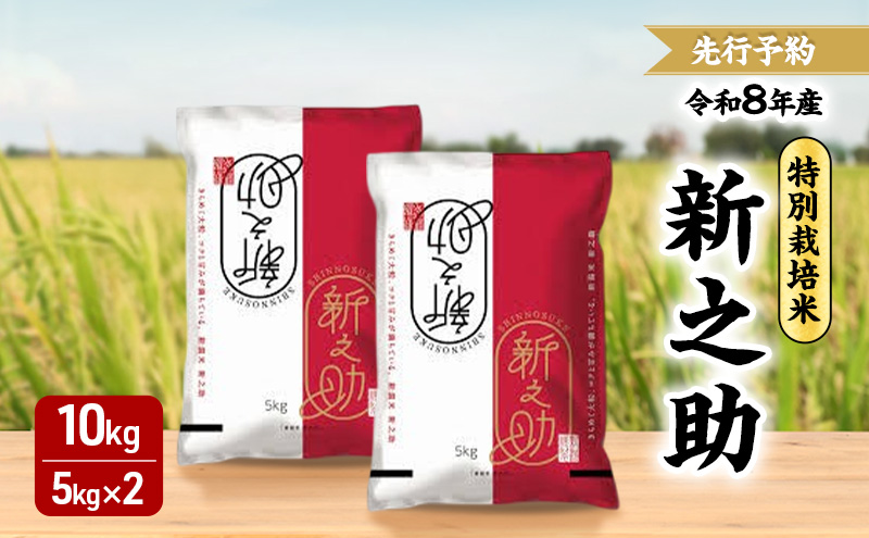 先行予約 令和8年 新潟県産新之助 特別栽培米 10kg 10キロ （5kg×2袋） 上越市 三和区神田 富永農産 有機肥料 自家製たい肥