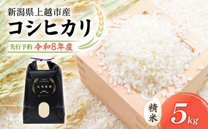 先行予約 令和8年 新潟県上越市産 コシヒカリ（特別栽培米） | 5kg 5キロ 米 山本農園 ご飯 精米 新潟 上越
