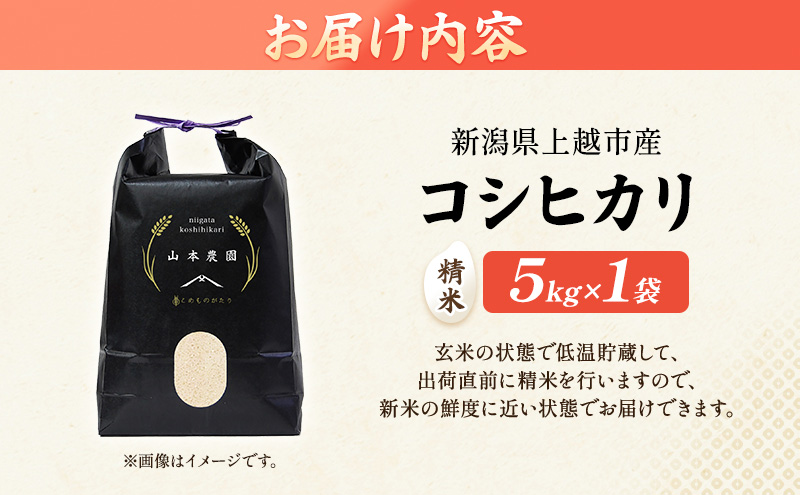 先行予約 令和8年 新潟県上越市産 コシヒカリ（特別栽培米） | 5kg 5キロ 米 山本農園 ご飯 精米 新潟 上越