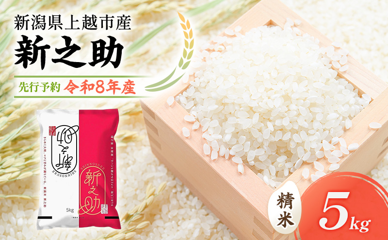 先行予約 令和8年 新潟県上越市産 新之助（特別栽培米） | 5kg 5キロ 米 山本農園 ご飯 精米 新潟 上越