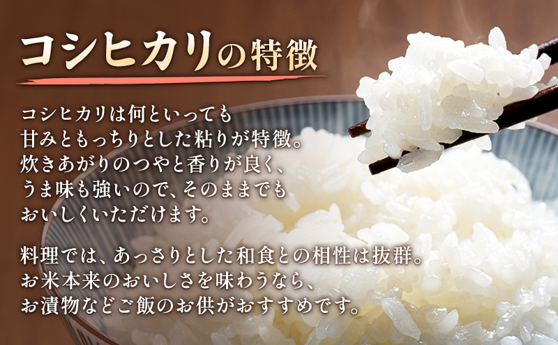 先行予約 令和8年 新潟県上越市産 コシヒカリ（特別栽培米） | 5kg 5キロ 米 山本農園 ご飯 精米 新潟 上越