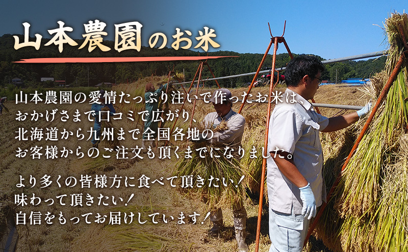 先行予約 令和8年 新潟県上越市産 新之助（特別栽培米） | 5kg 5キロ 米 山本農園 ご飯 精米 新潟 上越