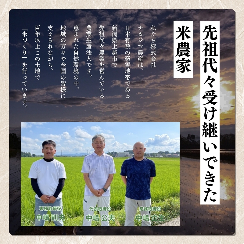 先行予約 令和8年産 新潟県産 コシヒカリ 5kg 謙信秘蔵米 真空 窒素挿入 冬眠パック 精白米 米 お米 上越 上越産 上越米 ふるさと納税 上杉謙信 人気