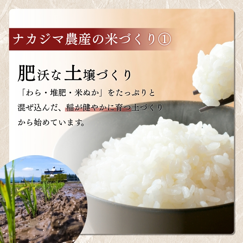 先行予約 令和8年産 新潟県産 コシヒカリ 定期便（5kg×6回分） 謙信秘蔵米  真空 窒素挿入 冬眠パック 米 お米 コメ 上越 上越産 上越米 上杉謙信