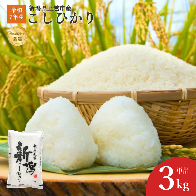 令和7年産 新潟県上越産こしひかり 精米 3kg 上越市 米 コメ コシヒカリ