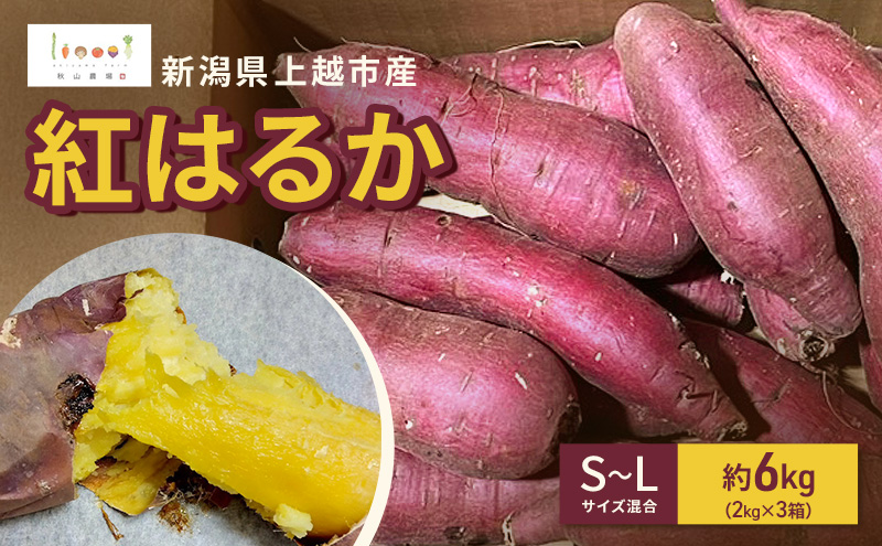 新潟県上越市産 紅はるか サツマイモ さつまいも S-Lサイズ混合 約6kg（2kg×3箱） 秋山農場グリーンプロジェクト