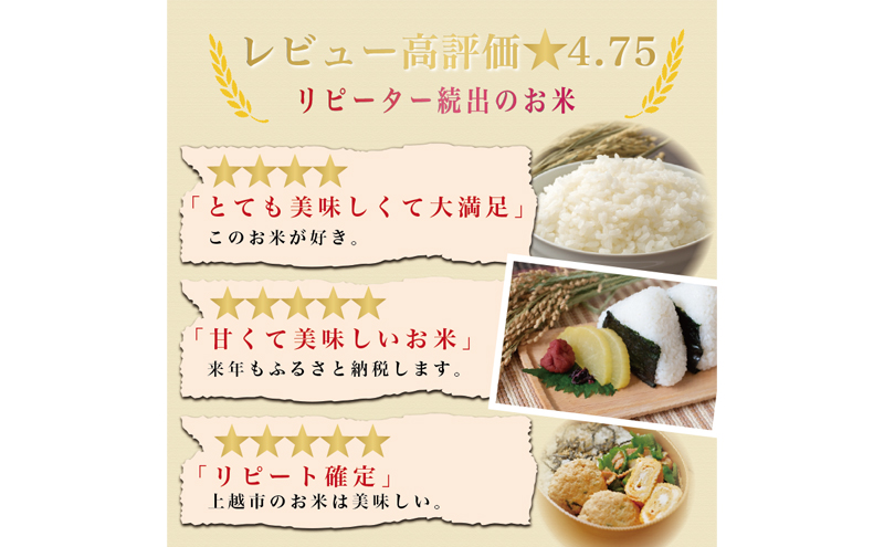 先行予約【12月より順次出荷】令和8年産 新潟県 上越市産 コシヒカリ 5kg 白米 精米 送料無料 塩崎農場