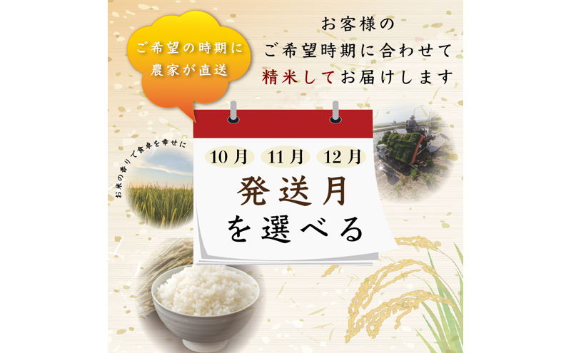 先行予約【10月より順次出荷】令和8年産 新潟県 上越市産 ミルキークイーン 5kg 白米 精米 送料無料 塩崎農場