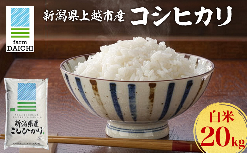 莉、蜥7蟷エ 譁ー貎溽恁荳願カ雁クら肇 繧ウ繧キ繝偵き繝ェ 20kg シ5kgテ4陲具シ峨♀邀ウ 繧ウ繝。 縺薙@縺イ縺九j 縺オ縺√シ繧螟ァ蝨ー