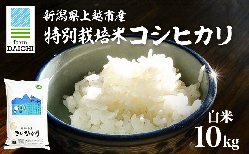 莉、蜥7蟷エ 譁ー貎溽恁荳願カ雁クら肇 迚ケ蛻・譬ス蝓ケ邀ウ 繧ウ繧キ繝偵き繝ェ 10kg シ5kgテ2陲具シ峨♀邀ウ 繧ウ繝。 縺薙@縺イ縺九j 縺オ縺√シ繧螟ァ蝨ー
